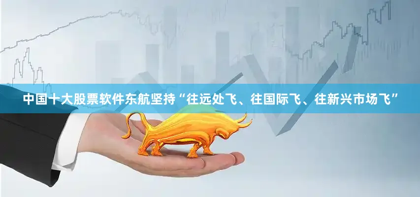 中国十大股票软件东航坚持“往远处飞、往国际飞、往新兴市场飞”