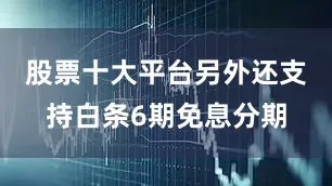 股票十大平台另外还支持白条6期免息分期
