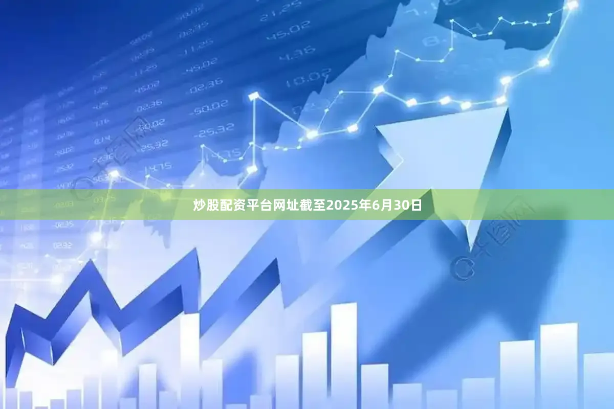 炒股配资平台网址截至2025年6月30日