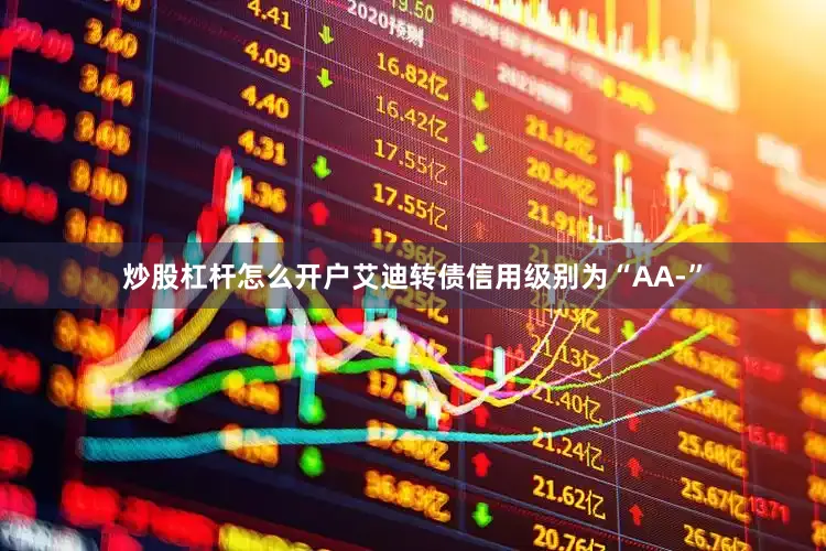 炒股杠杆怎么开户艾迪转债信用级别为“AA-”